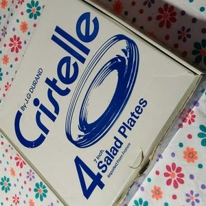 Vintage arcoroc  7 inch. Salad Plates x 4 pieces  in the original box